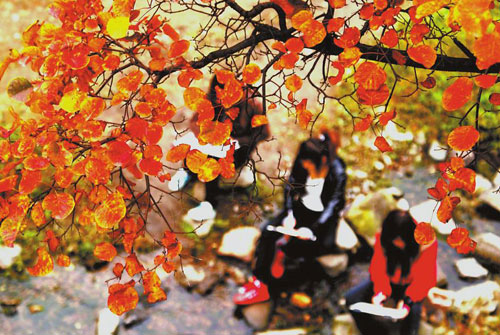几名焦作师专的学生在王屋山景区漂亮的红叶树